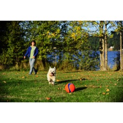 KICK FETCH