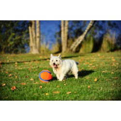 KICK FETCH