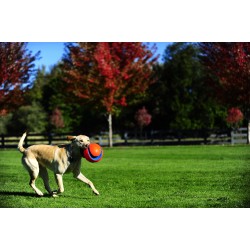 KICK FETCH