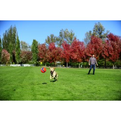 KICK FETCH