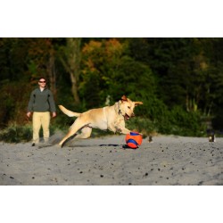 KICK FETCH