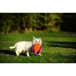 KICK FETCH