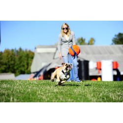 KICK FETCH