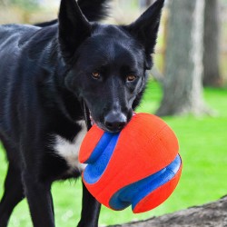 KICK FETCH