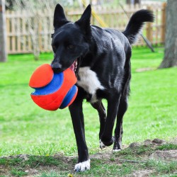 KICK FETCH